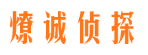 莲都市私家侦探